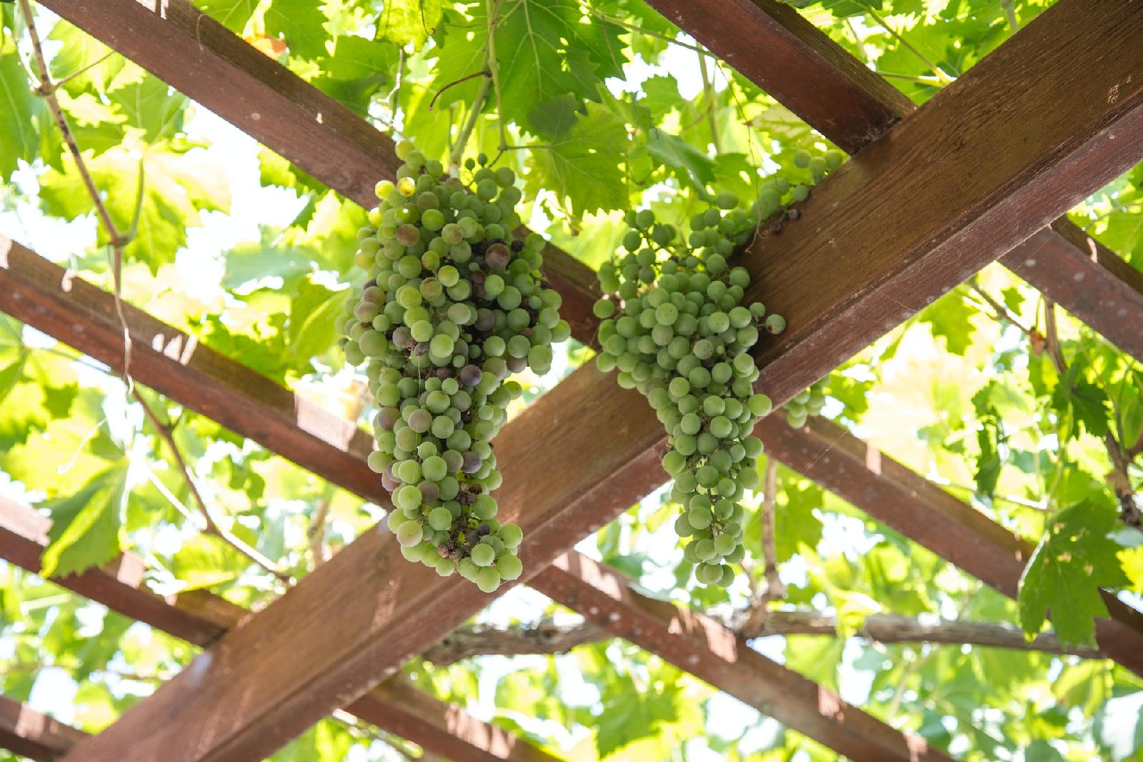 Pergolas bioclimatiques sur mesure : personnalisez votre espace exterieur